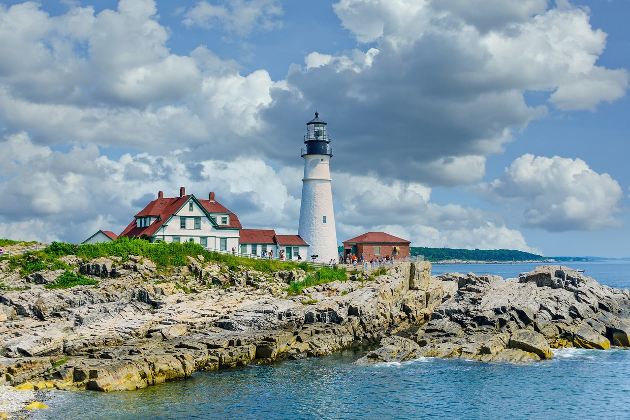 Celebrating Maine Day: Exploring the Pine Tree State with Your Dog